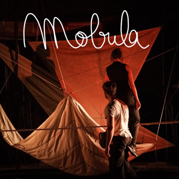 Mobula